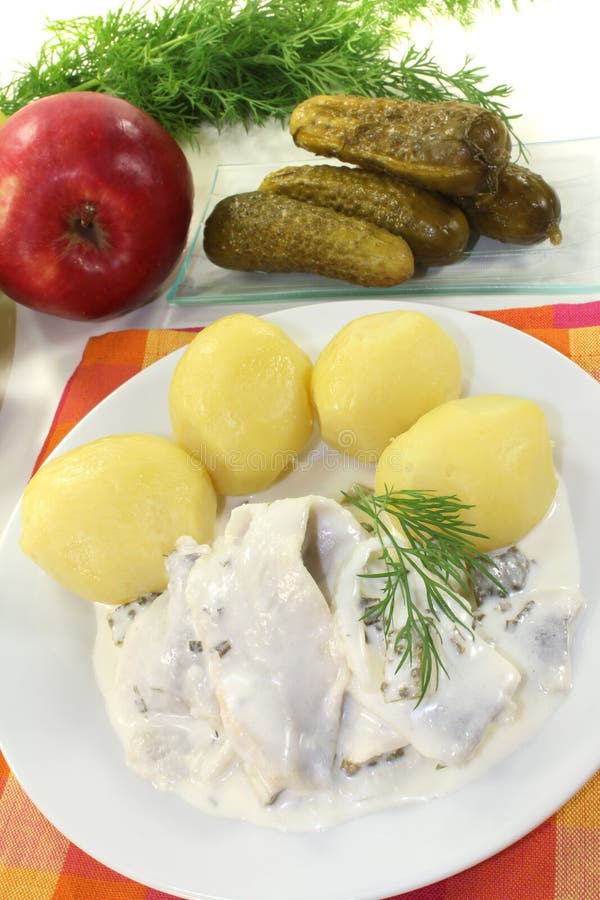 Cream Marinated Herring with Apple Stock Image Image of cucumbers