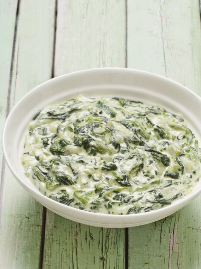 Cream spinach stock photo. Image of spinach, creamed - 40570320