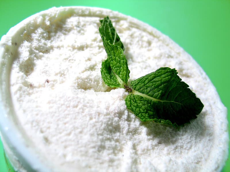 Mint leaves and vanilla ice cream. Mint leaves and vanilla ice cream.