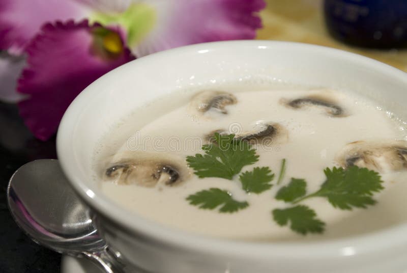 Thai coconut mushroom cream soup. Thai coconut mushroom cream soup