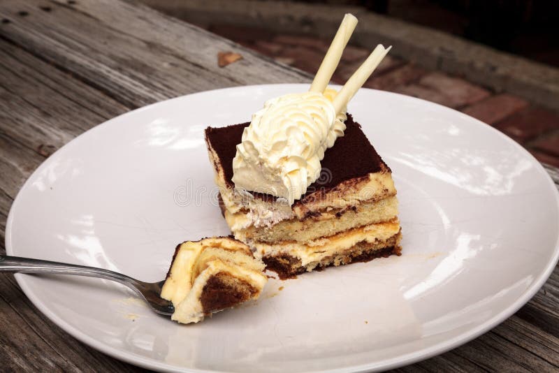 Creamy Italian tiramisu with a coffee flavored custard royalty free stock images Creamy Italian tiramisu with a coffee flavored custard royalty free stock images