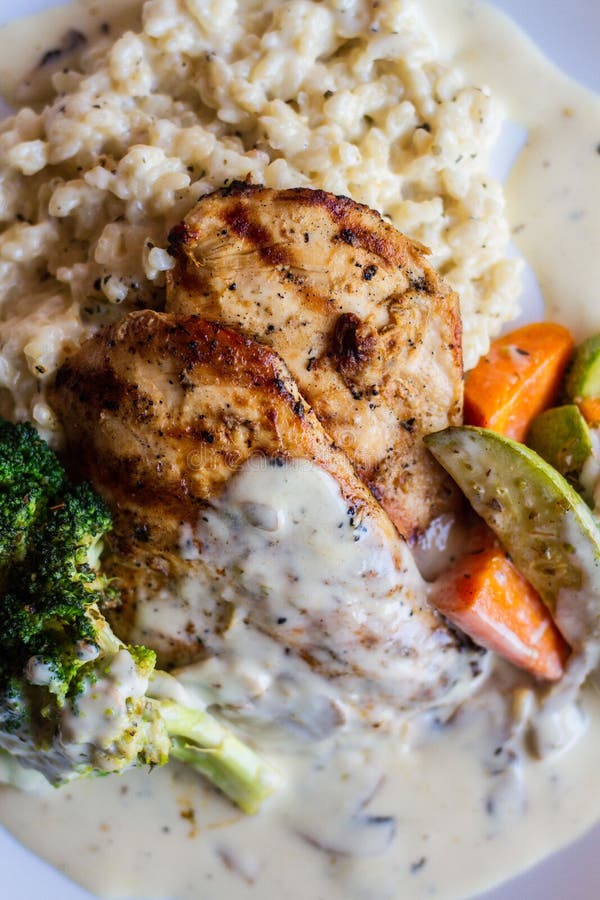 Creamy Roasted Chicken Dish with Vegetables Stock Photo Image of tasty, onion 259308822