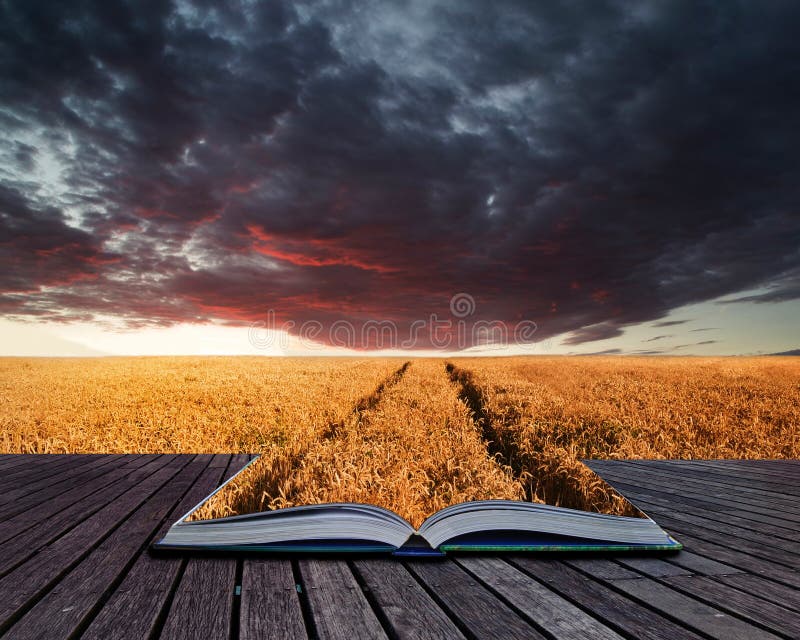 Creatieve conceptenpagina's van Som van het boek de Overweldigende wheatfield landschap royalty-vrije stock afbeelding Creatieve conceptenpagina's van Som van het boek de Overweldigende wheatfield landschap royalty-vrije stock afbeelding
