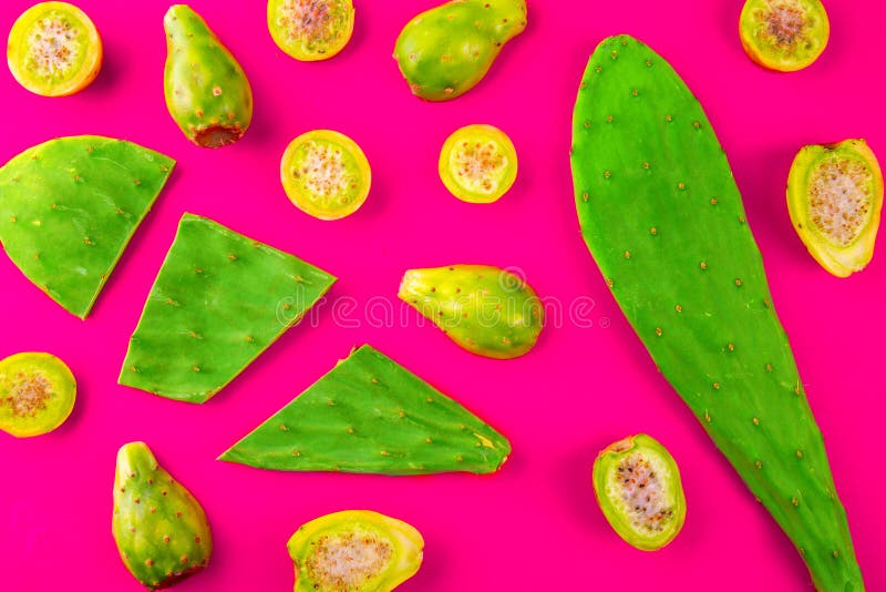 Creatieve die lay-out van Mexicaanse cactusbladeren en cactusvruchten pricly peer of tonijn op rode achtergrond wordt gemaakt Vla stock afbeelding Creatieve die lay-out van Mexicaanse cactusbladeren en cactusvruchten pricly peer of tonijn op rode achtergrond wordt gemaakt Vla stock afbeelding