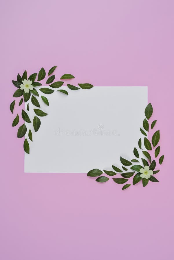 Creatieve samenstelling Groene bladeren, gele bloem, document spatie op pastelkleur roze achtergrond Het concept van de zomer Vla royalty-vrije stock foto's Creatieve samenstelling Groene bladeren, gele bloem, document spatie op pastelkleur roze achtergrond Het concept van de zomer Vla royalty-vrije stock foto's
