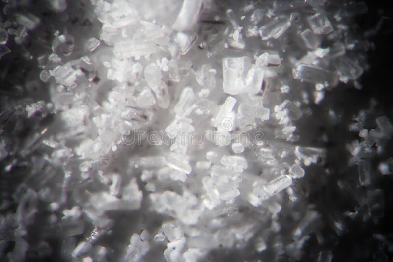 Creatine crystals by microscope looks like methamphetamine. Athletic dietary supplement in details supermacro close-up