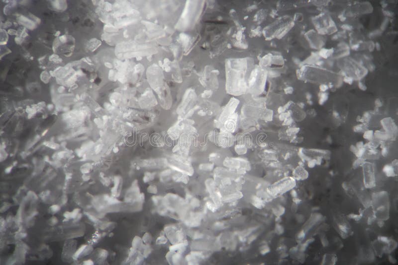Creatine crystals by microscope. Athletic dietary supplement in details supermacro close-up. White cristales on black background