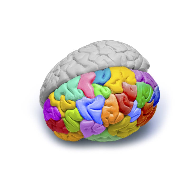 Ľudský mozog, ktorý má na jednej pologuli farebné a iné šedá.