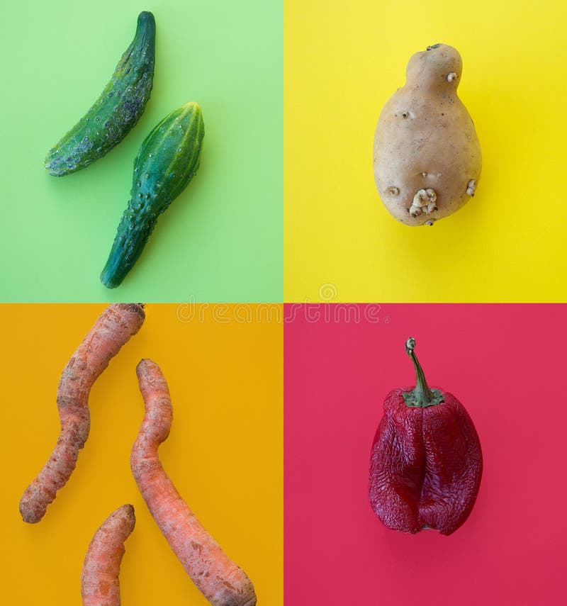 Creative collage with ugly vegetables on a bright colorful background, deformed vegetables, banner for advertising royalty free stock photo.