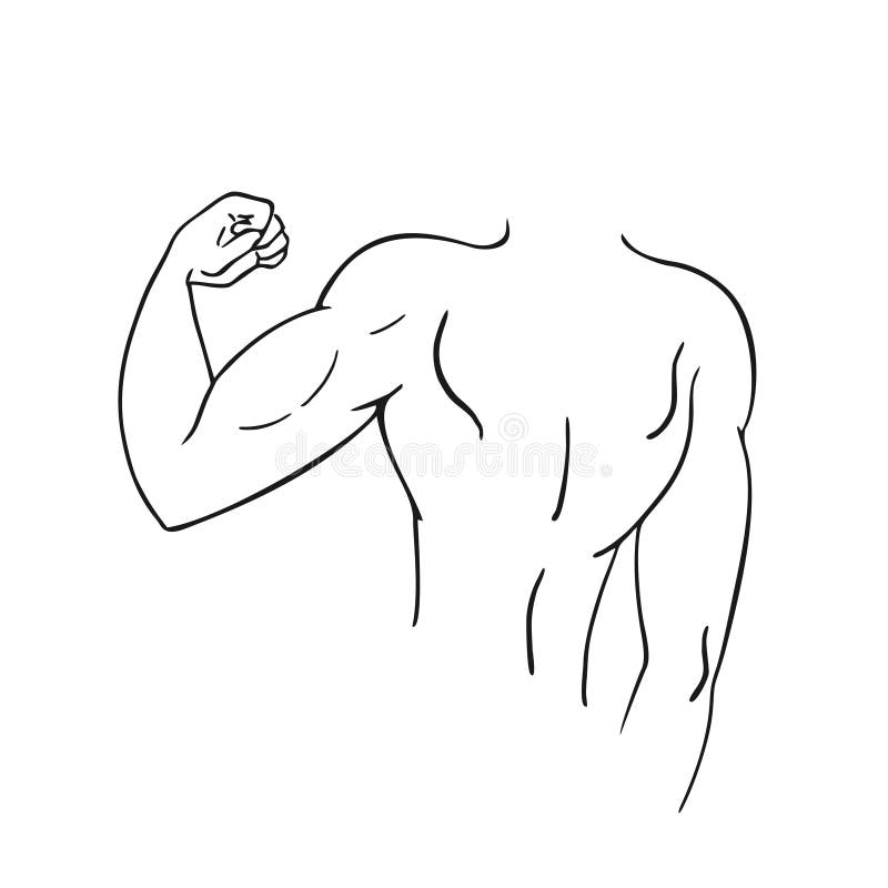 Design of muscle arm draw stock vector. Illustration of adult 211128305