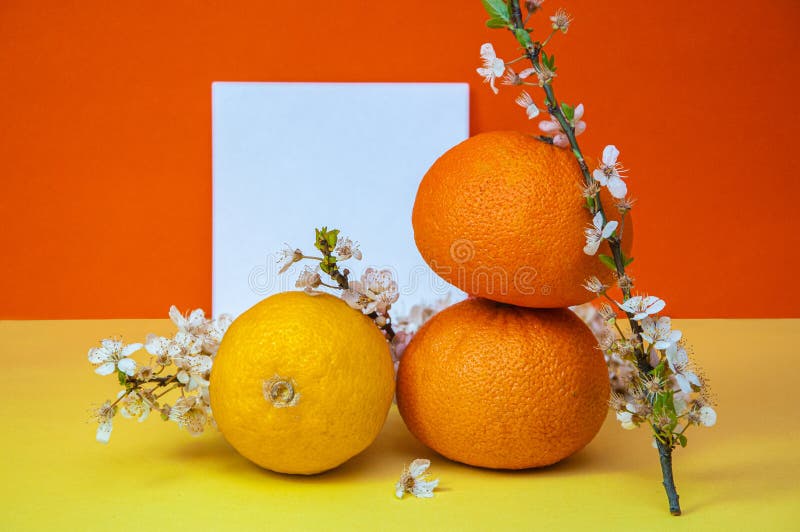 Creative Fruits Composition Made of Oranges and Lemon with Note Paper and Blossom Tree Branch on