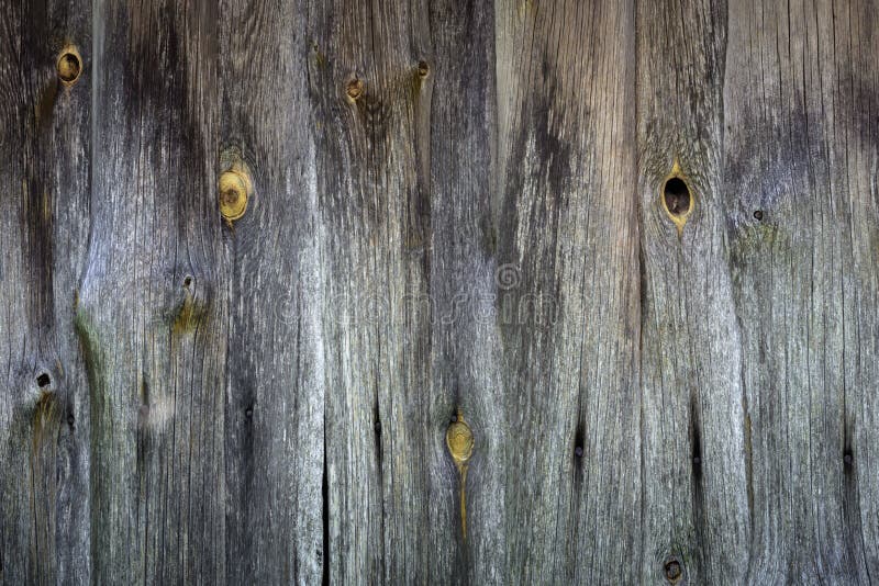 Creative grunge wood background from old planed gray knotty planks of the outer wall of an ancient barn royalty free stock images