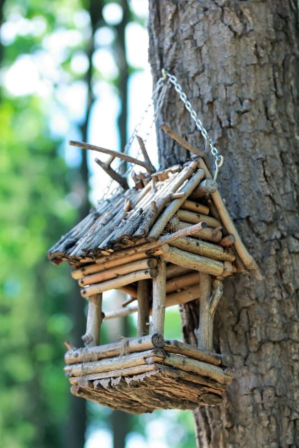 Hanging wooden bird feeder stock photo. Image of bird ... Hanging wooden bird feeder stock photo. Image of bird ...