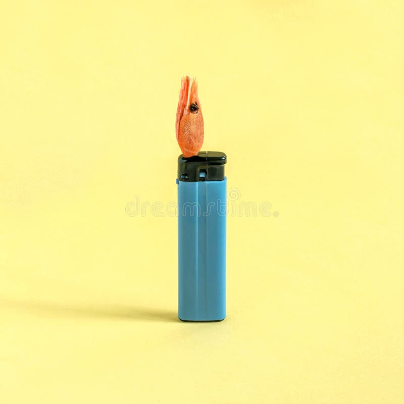 Creative Idea Gas Lighter with Shrimp instead of Fire Stock Image