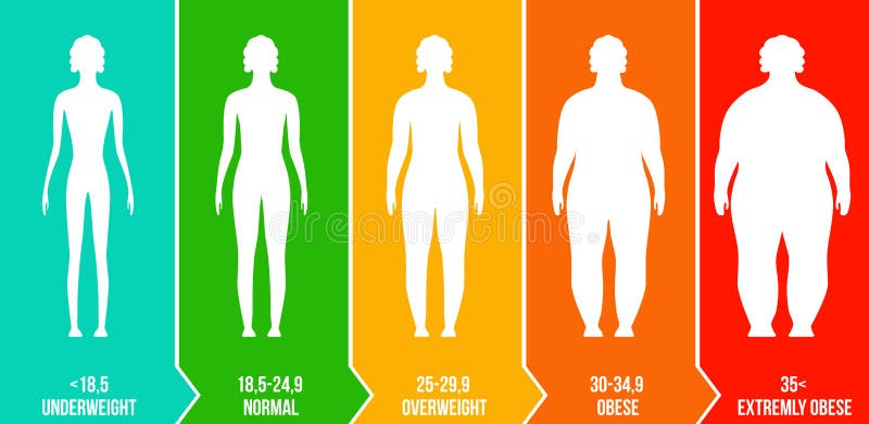 Body Mass Index or mass index scale. Types of BMI.Weight loss concept.  Vector isolated illustration 17793274 Vector Art at Vecteezy