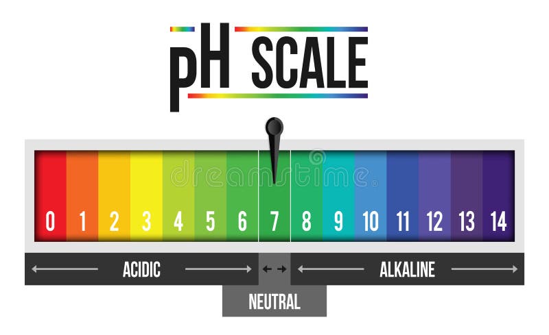PH Scale. Litmus Paper Color Chart. Stock Vector - Illustration of base,  blood: 80714662