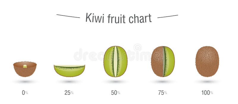 Инфографика киви. Kiwi система родовспоможения чашечка. Листик золотой киви. Kiwifruit nutritional value. График киви