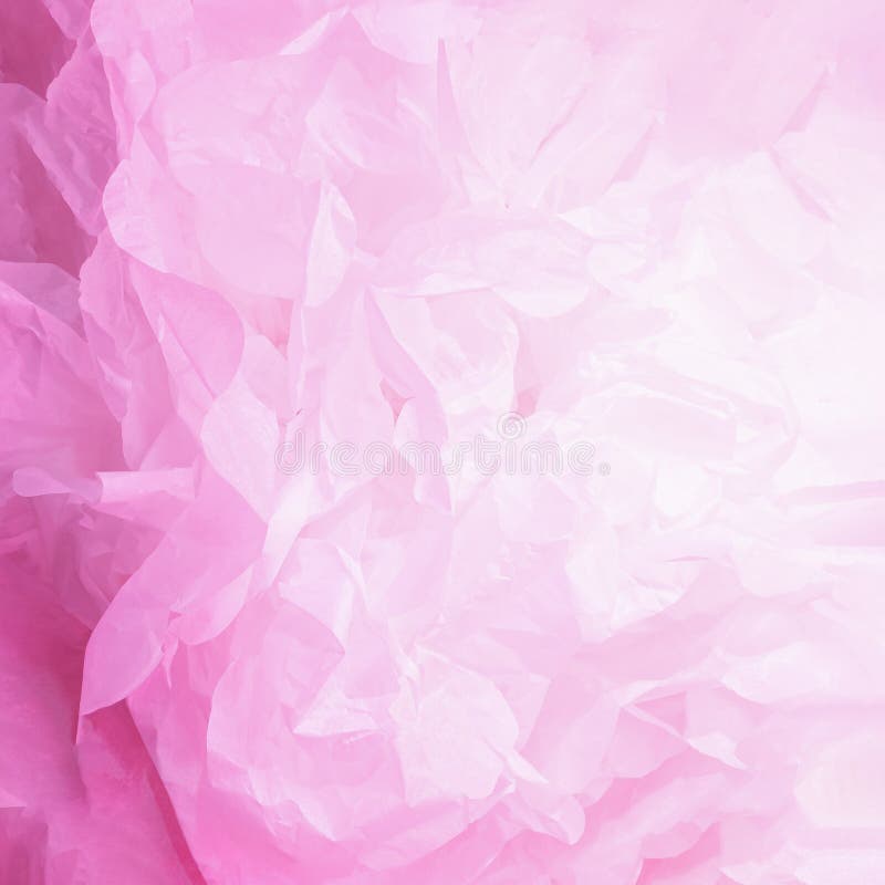 Creative Layout Made of Gradient Pastel Pink and White Paper Backround