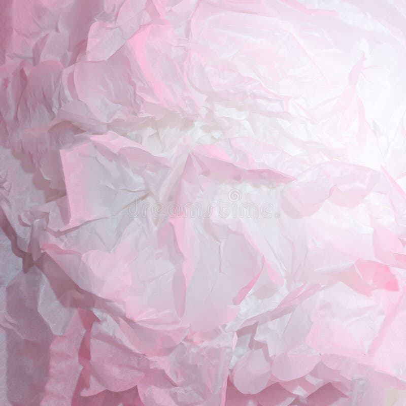Creative Layout Made of Gradient Pastel Pink and White Paper Backround