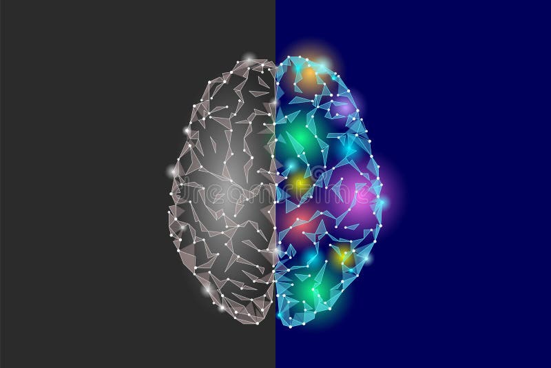 Creative and logic part brain. Analytics constructive artistic imagination hemisphere side mind function. Low poly stock illustration Creative and logic part brain. Analytics constructive artistic imagination hemisphere side mind function. Low poly stock illustration