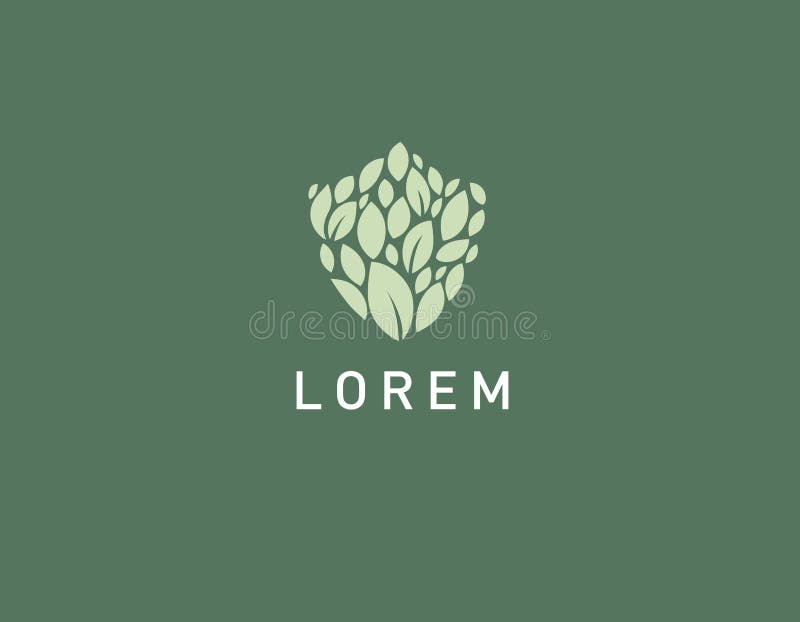 Creative Logo Icon Shield and Leaves of the Plant Protection of Nature
