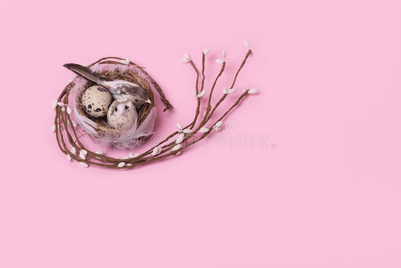 Creative minimal concept of spring and Easter made of a bird nest and a tree branch royalty free stock photo