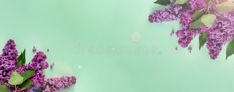 Banner hoa lilac: Với tông màu tươi sáng, bắt mắt, banner hoa lilac sẽ làm cho trang web của bạn trở nên đáng yêu và dễ thương. Hãy để banner này giúp cho trang web của bạn trở nên thu hút và sinh động hơn nhé!