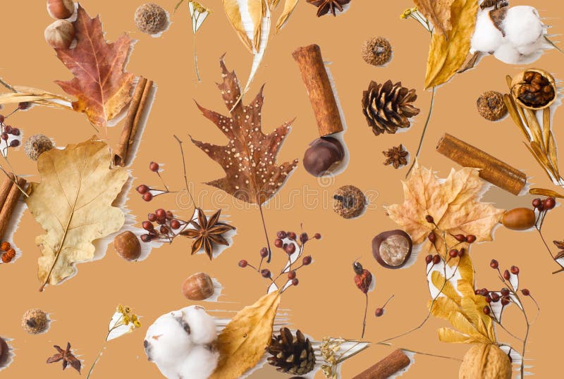 Hello Autumn. Fall leaves, berries, acorns, walnuts, cinnamon, anise , cotton and pine cones on awkwardly painted brown background. Creative modern Autumnal greeting card