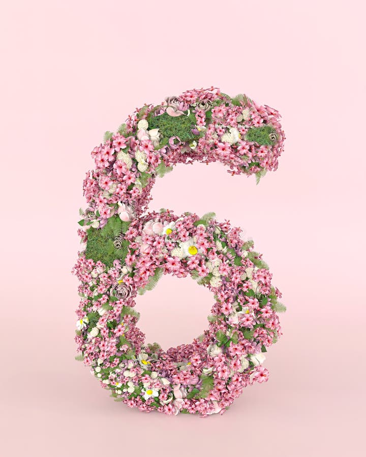 Creative number 6 concept made of fresh Spring wedding flowers. Flower font concept on pastel pink background