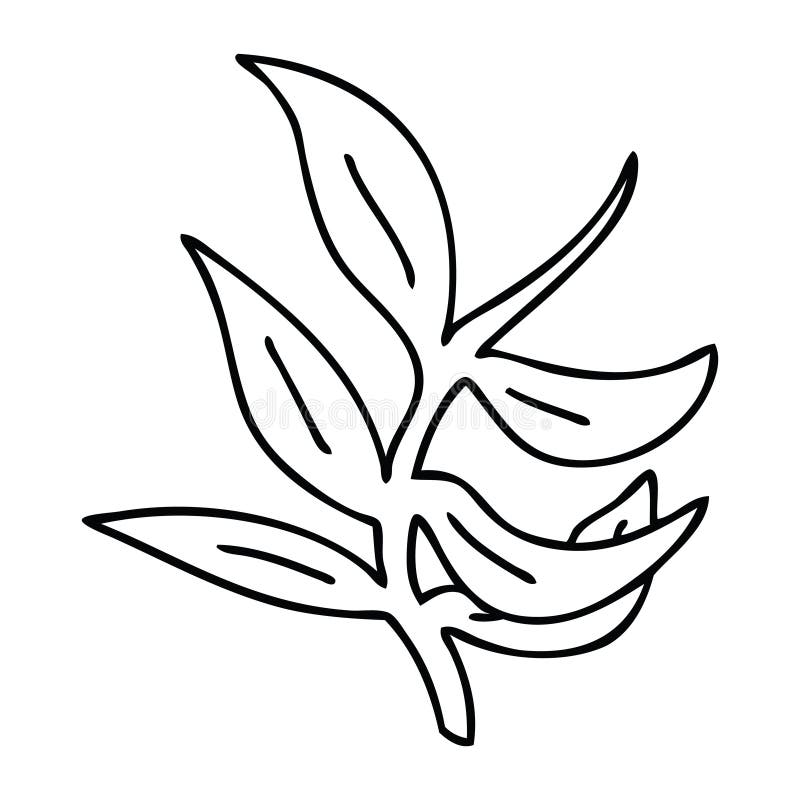 A Creative Quirky Line Drawing Cartoon Vines Stock Vector