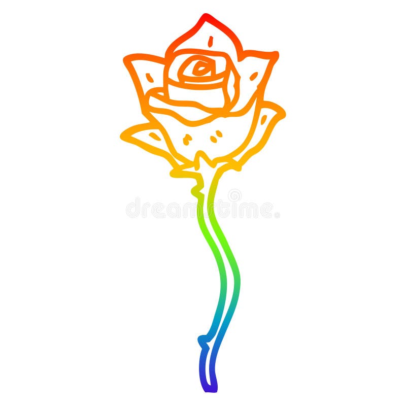 A creative rainbow gradient line drawing cartoon red rose