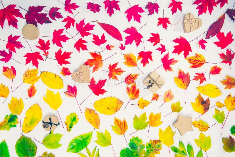 Creative Top view flat lay autumn composition - handcrafted gift boxes on fallen leaves gradient colorful rainbow background. Temp royalty free stock photos