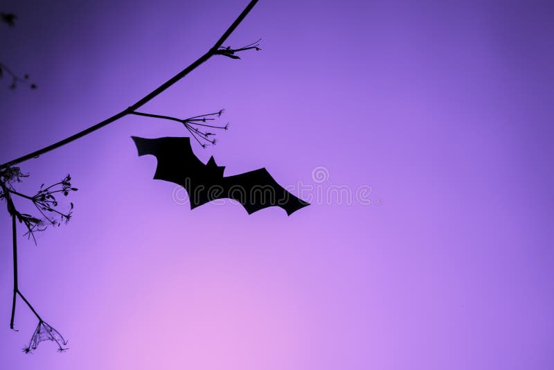 Creative trendy halloween background with black paper bats flying over purple neon light background. Copy space. card decoration