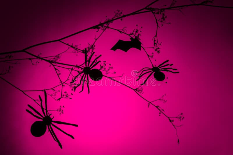Creative trendy halloween background with black spider and paper bats flying over pink fuchsia neon light background. Copy space.