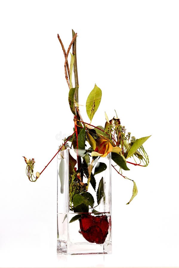 Creative Upside Down Concept Red Rose with Head in a Flower Vase a