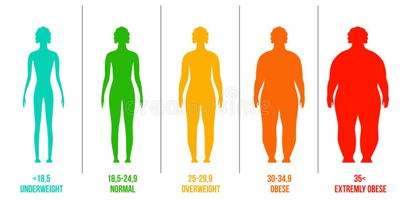 Body Mass Index Chart Stock Illustrations – 502 Body Mass Index Chart Stock  Illustrations, Vectors & Clipart - Dreamstime