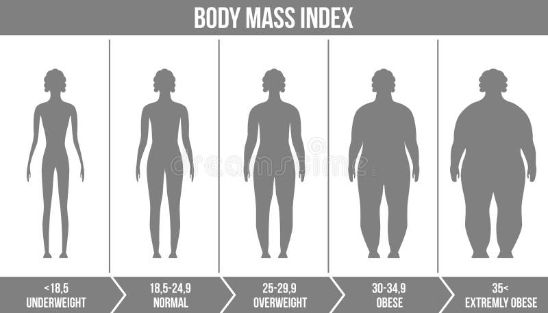 BMI chart, scale, vector illustration. Body mass index meter