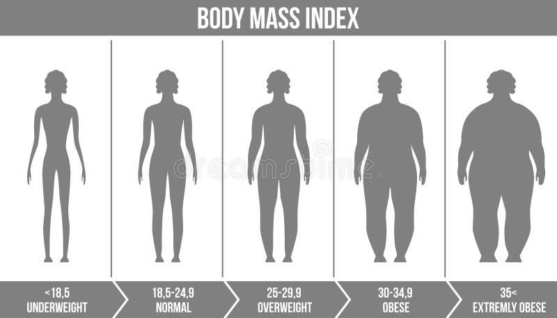 BMI, body mass index chart, vector illustration. Obese, overweight