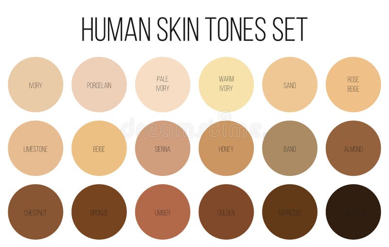 Creative vector illustration of human skin tone color palette set isolated on transparent background. Art design vector illustration