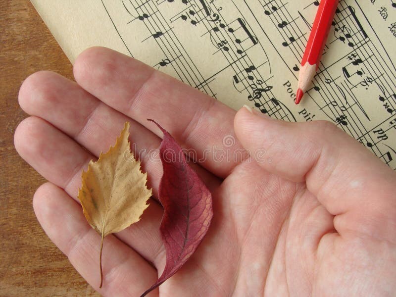 Hand with colorful autumnal leaves at musical notes sheet background. Colorful musical notes stock images, royalty-free photos and pictures