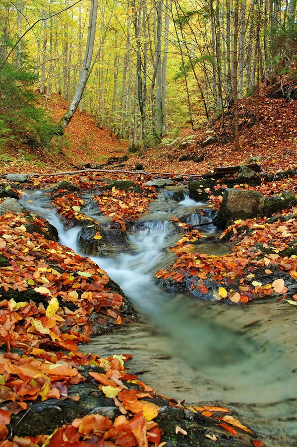 Creek in autumn