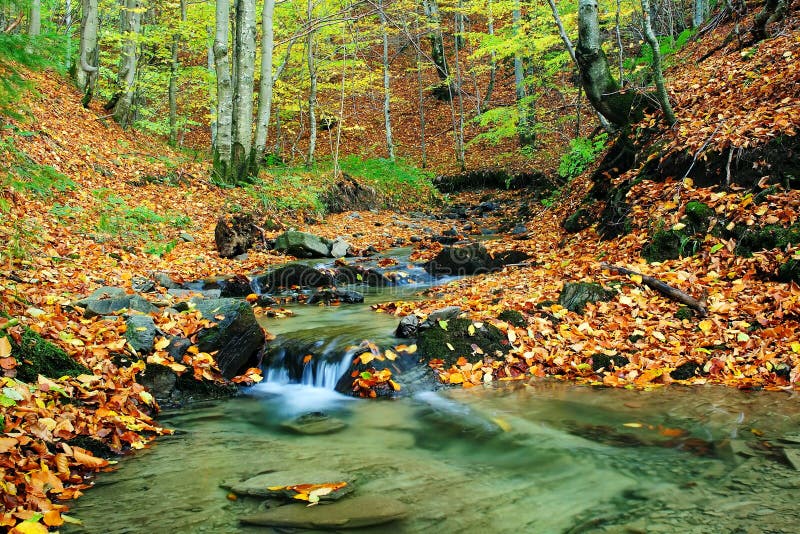 Creek in autumn