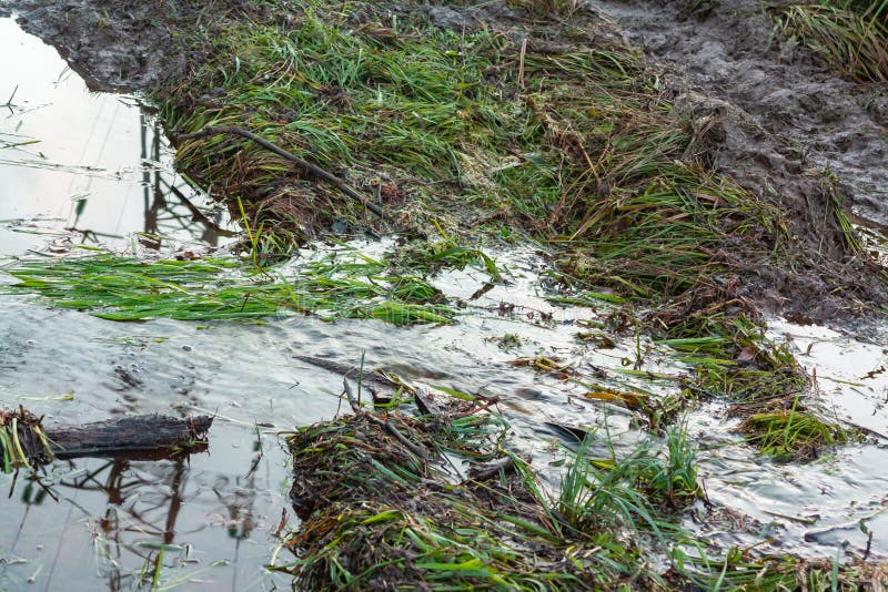 Creek on a dirt road in the countryside dirty road and the puddle. Extreme way of rural mud royalty free stock image Creek on a dirt road in the countryside dirty road and the puddle. Extreme way of rural mud royalty free stock image