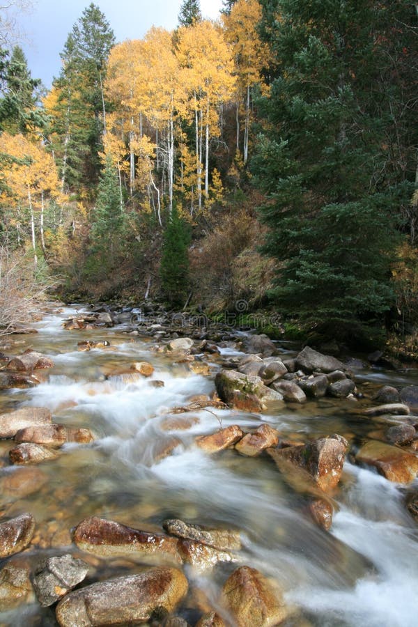 Creek in fall with aspens 4