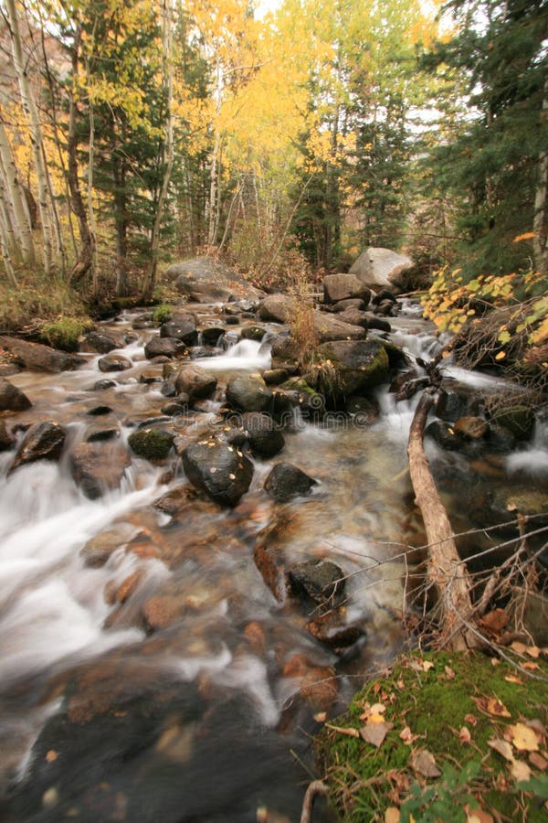 Creek in fall with aspens 5