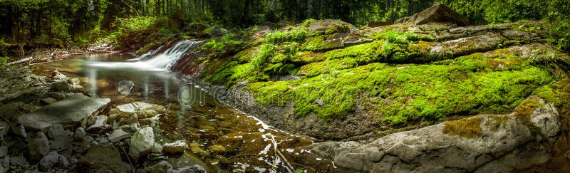 Creek, moss and rocks