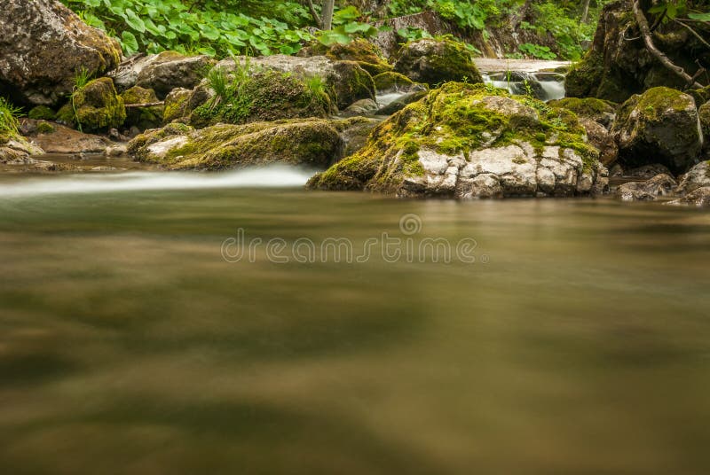 Creek, rocks and vegetation