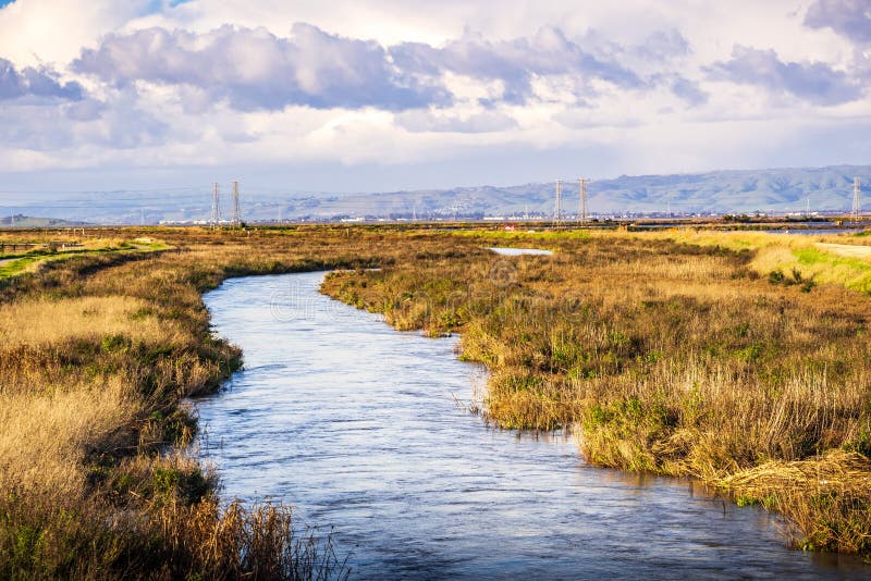 Creek running among the marshes of San Francisco bay, Mountain View, California