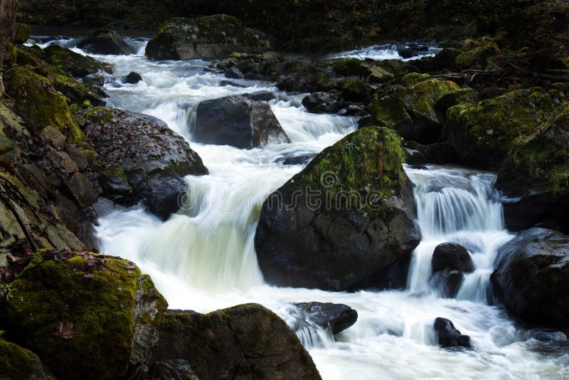 Creek with running water and stones (rocks)