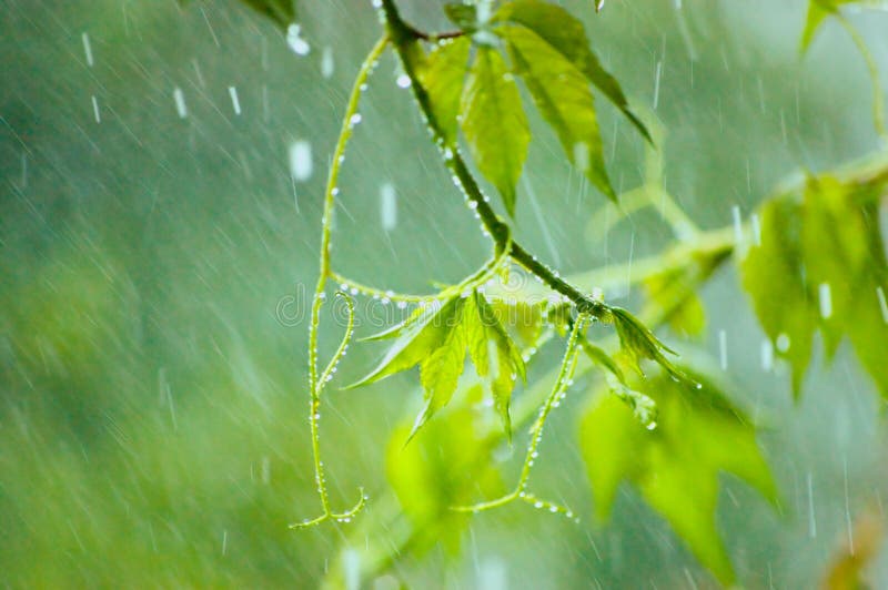 Piastrelle Mosaico A Forma Di Goccia - 500g, Ceramica Per Decorazioni Fai Da Te, 1.2x1.9cm, 150 Pezzi Circa - Foto 6